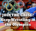 /album/photogallery/wrestling-in-olympics-home-png/